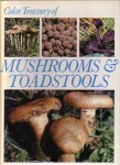 mushrooms-&-toadstolls